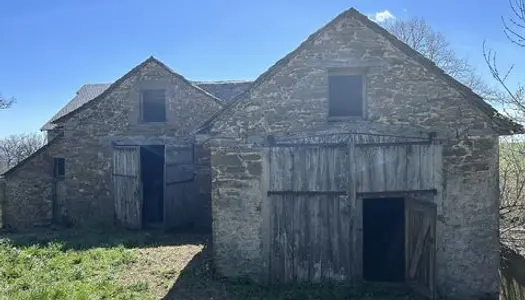 Granges en pierre à rénover - VILLEFRANCHE-DE-PANÂ 