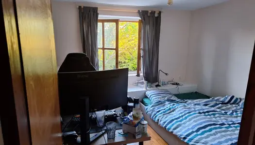 Chambre dans maison en forêt 