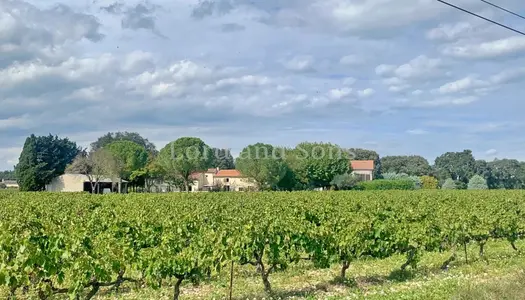 Domaine viticole de 14ha avec 10ha plantés en AOP Village 