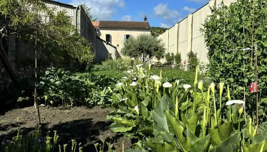 Maison de village Saint-Girons 