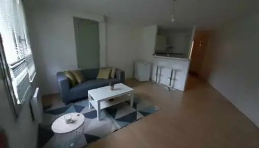 Appartement 2 pièce(s) meublé 44.67 m2 