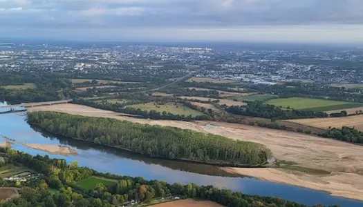 Terrain constructible Juigné-sur-Loire 