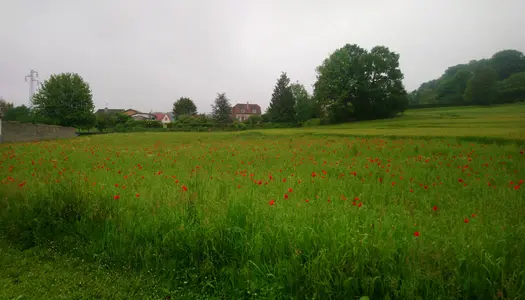 Terrain à bâtir Barisis-aux-bois 3598m2 