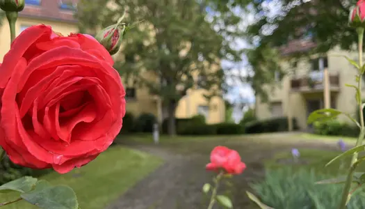 Beau 3 pièces avec garage ! 