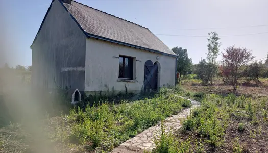 Montjean sur Loire, Environ 2000m2 de terrain avec Maisonnet 