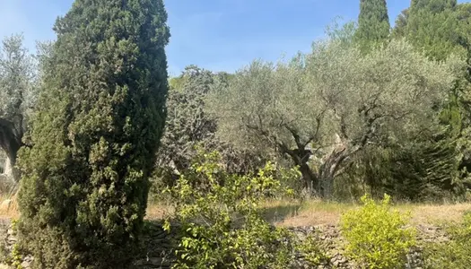 BELLE VILLA PROVENÇALE DANS UN QUARTIER RECHERCHÉ D'OLLIOULE 