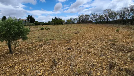 Terrain viabilisé Thézan-des-Corbières 