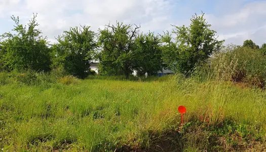 Terrain viabilisé 10mn Marmande 