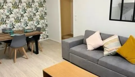 Appartement F2 rénové et meublé 