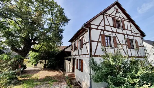 BARTENHEIM ! Maison ancienne rénovée avec élégance et matéri 