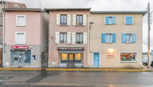 Immeuble avec appartement et local commercial 