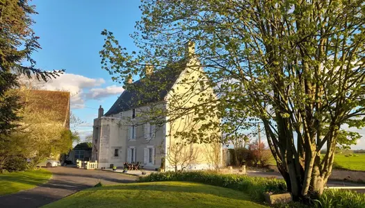 Vente Château 405 m² à Chef-Boutonne 806 000 €