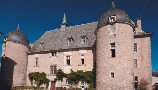 Vente Château 7000 m² à Villefranche de Rouergue 1 700 000 €