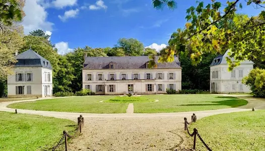 Vente Château 1000 m² à Champlay 1 365 000 €