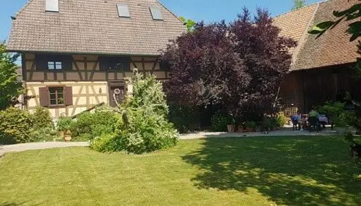 Vente Maison 200 m² à Hundsbach 675 000 €