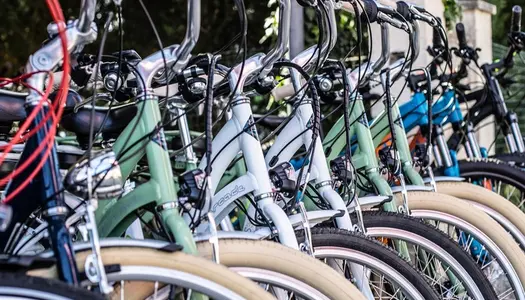 A vendre à SAINT DENIS D'OLERON Murs & Fonds De Commerce de Location de Cycles