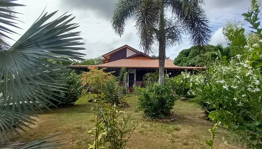 Dpt Guyane (973), à vendre MACOURIA - Maison créole en bois T5