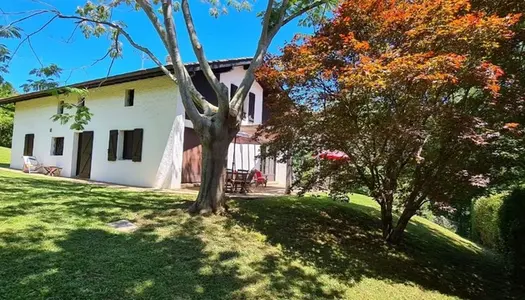 Dpt Pyrénées Atlantiques (64), à vendre SAINT PEE SUR NIVELLE maison P6 de 213 m² - Terrain de 1