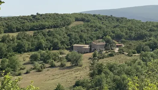 Propriété Gîtes et chambres d'hôtes 20 hA - 550 m2 à Banon 