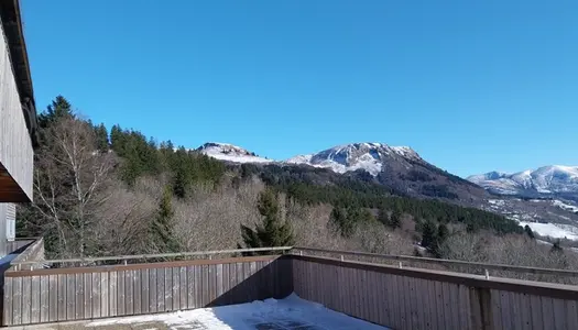 Dpt Puy de Dôme (63), à vendre local commercial à Proximité du Mont Dore (Massif du Sancy) 