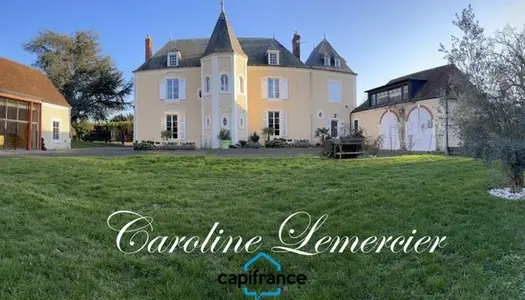 Dpt Sarthe (72), à vendre proche de LA FERTE BERNARD Château 400 m², 7 chambres - Terrain de 1,5 