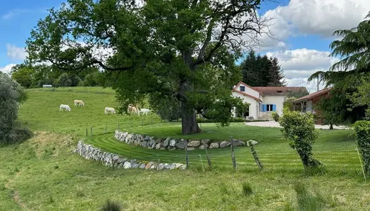 Dpt Hautes Pyrénées (65), à vendre maison P6 de 230 m² - Terrain de 5 500,00 m² - Plain pied - 