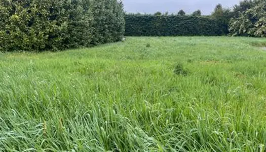 Terrain Constructible de 560m² à Loriol-sur-Drôme 