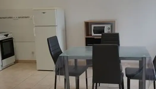 Appartement meublé 