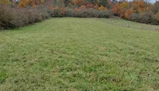 Terrain constructible à Cravant les deux Rivières 