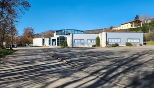 Ouest de lyon a vendre un local industriel de 3700 m² divisible des 273 m²