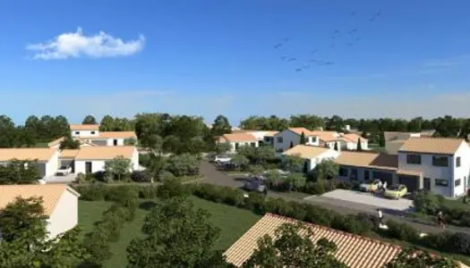 Terrain 313 m² 