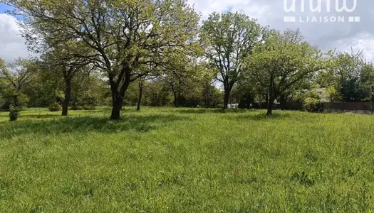 Terrain constructible d'une surface de 1155 m² - 4,5 km du centre de 