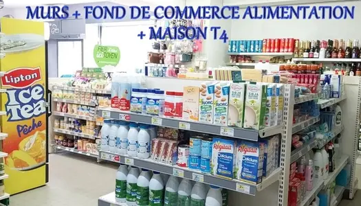 Dpt Savoie (73), Commerce Alimentation et Maison T4 