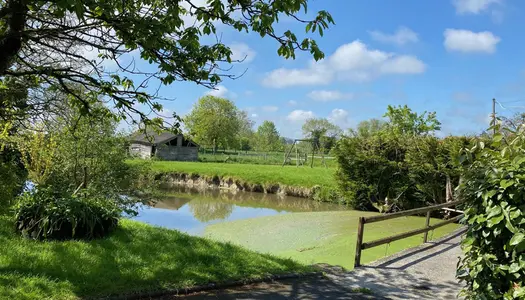 Dpt Calvados (14), viager à vendre VARAVILLE maison P4 