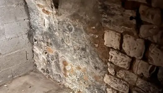 Location cave en pierre typique Reims 