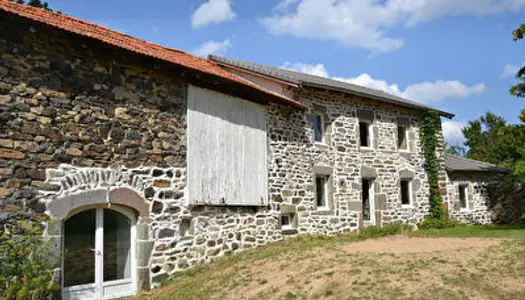 Ferme Saint-Julien-du-Pinet 133m2 