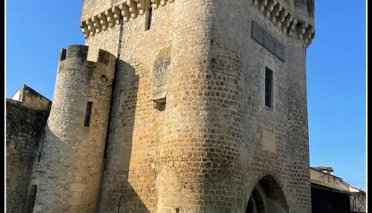 Dpt Gironde (33), à vendre RIONS 2 maison P6, Cité médiévale de Rions 