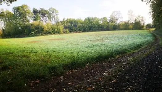 Terrain agricole ou de loisirs