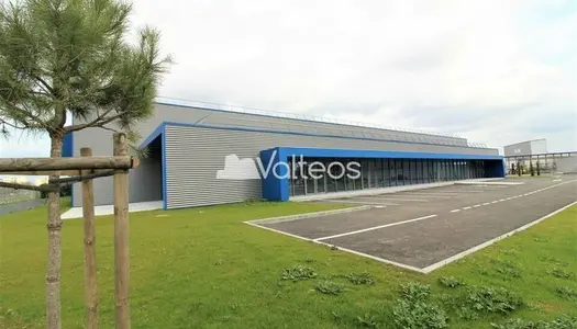 Local commercial 380 m²