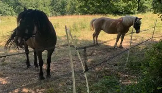 Belle propriété avec 2 hectares de terrain