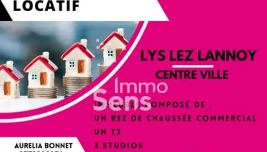 Immeuble Vente Lys-lez-Lannoy  224m² 339000€