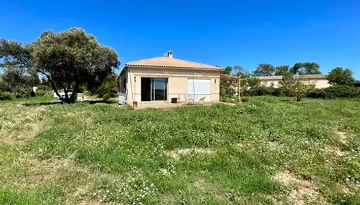 Maison avec grand terrain ! 