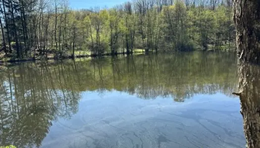 Vente terrain de loisirs avec étang et petit chalet bois SERVANCE 81 000 € 