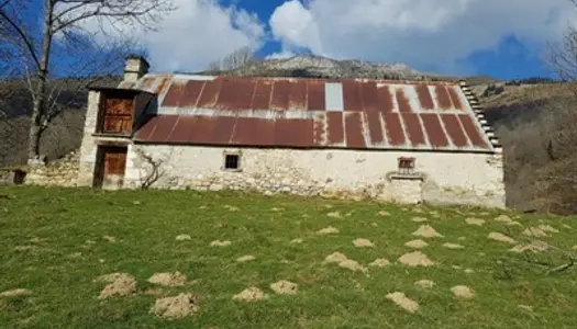 Dans les Hautes Pyrénées une grange avec un terrain de 7000 m² face au Pic du Midi 