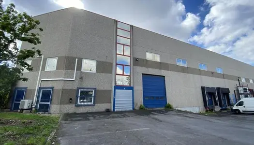 Local commercial 1175 m² 