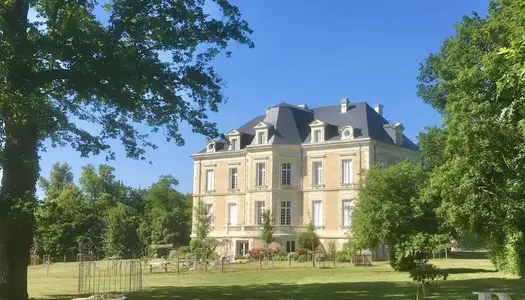 Château 20 pièces 1320 m²