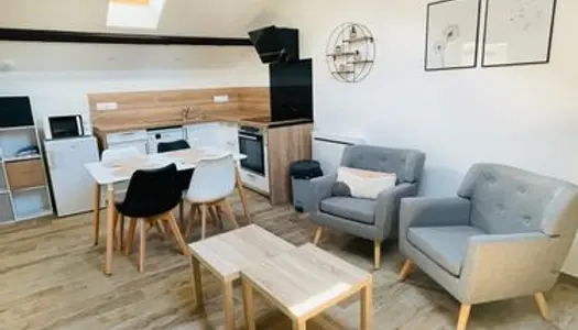 Studio meuble/neuf - centre ville 