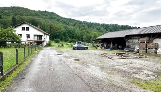 Vente maison sur sous-sol avec grandes dépendances, sur terrain de 2,25 ha Faucogney 241 5 