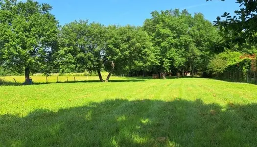 Terrain à bâtir de 2700m2 