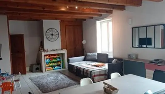 Grand appartement au coeur des Roches de Condrieu 